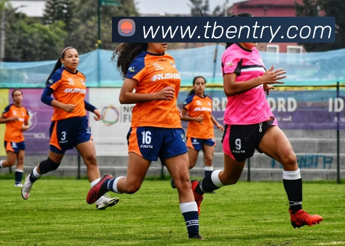 天博体育发展历程