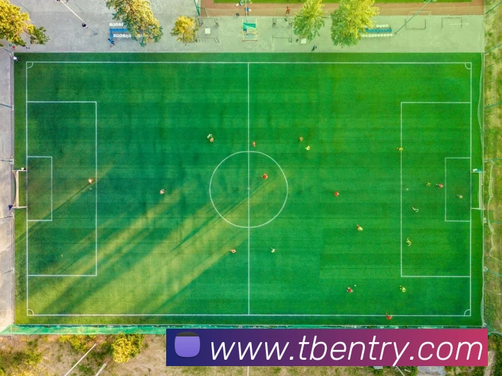 App Interface Preview