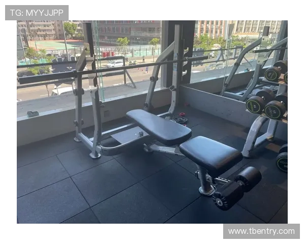 健身器材对我健康生活方式的积极促进作用分享