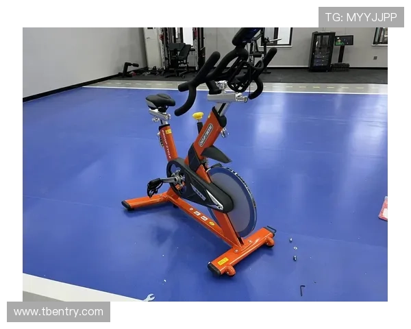 小型健身器材分类大全及家庭适用性分析 小型健身器材分类大全及家庭适用性分析