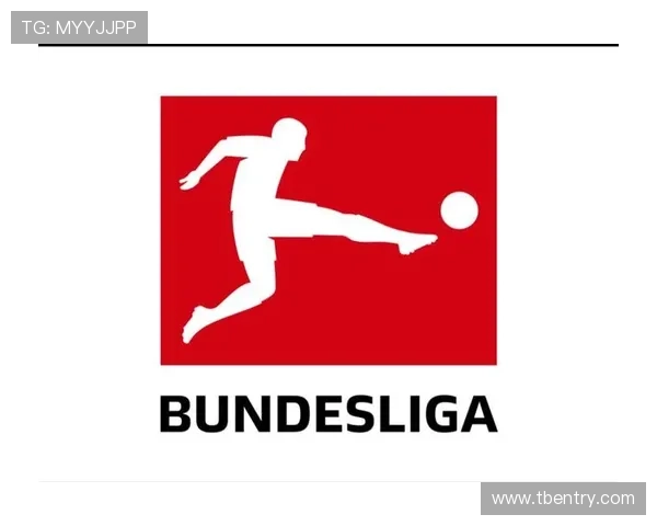 德甲哪些球队有钱：揭示德甲财力最强的几支球队